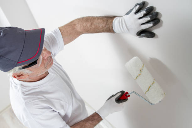 Reliable Lakewood, IL Drywall & Painting Services Solutions